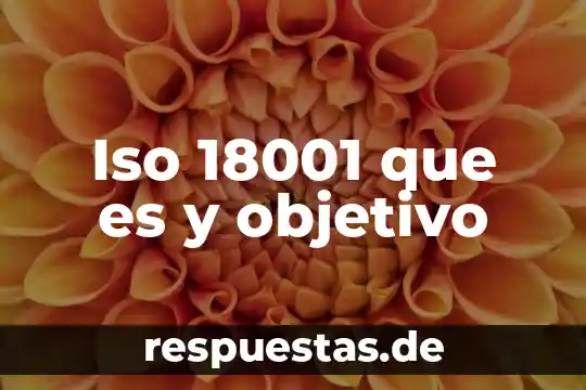 Iso 18001 que es y objetivo