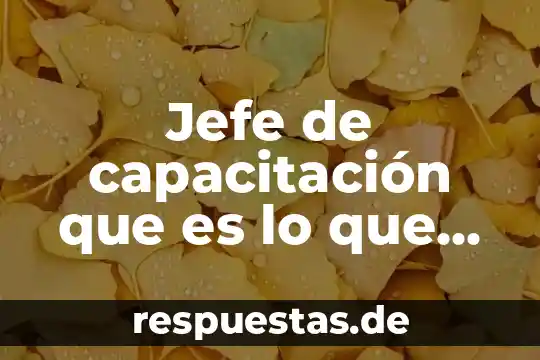 Que es un paleontólogo y que hace 3 Jefe de capacitación que es lo que hace