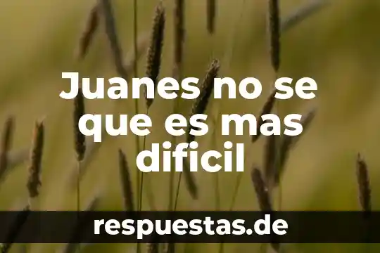 Que es mas un obispo o un arzobispo 7 Juanes no se que es mas dificil
