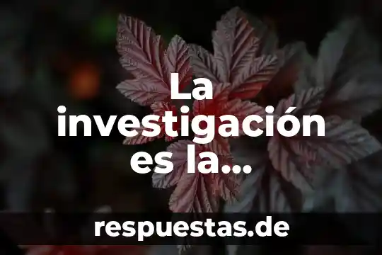 La investigación es la realización del protocolo que es un