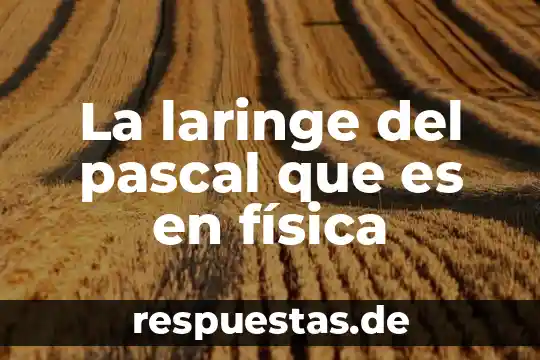 Que es presion de pascal en fisica 4 La laringe del pascal que es en física