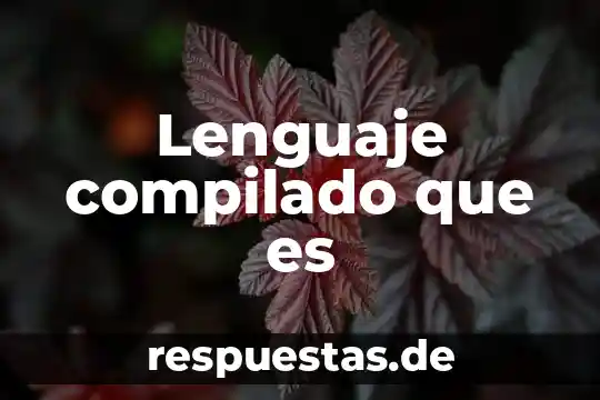 Qué es prótesis en lenguaje 7 Lenguaje compilado que es