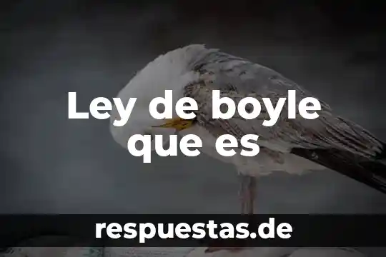 Que es mejor guante mecanico o emblema del destructor 3 Ley de boyle que es