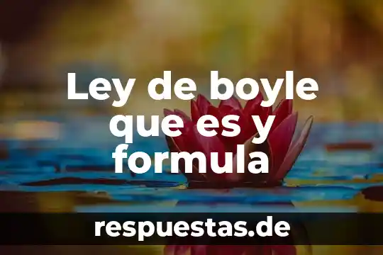Que es una particularidad de la formula en excel 3 Ley de boyle que es y formula