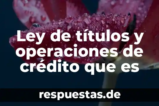 Que es documentos o titulos de credito 6 Ley de títulos y operaciones de crédito que es