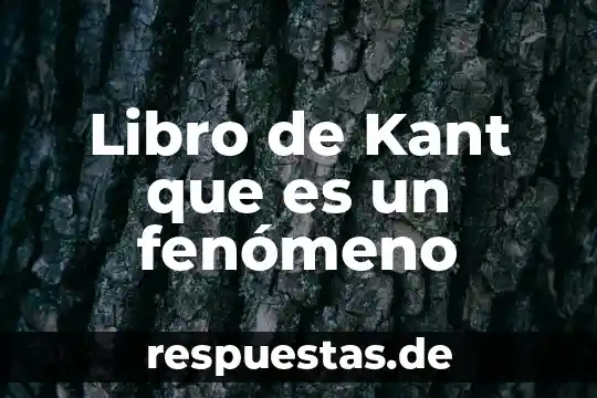 Según Kant que es una paradoja 6 Libro de Kant que es un fenómeno