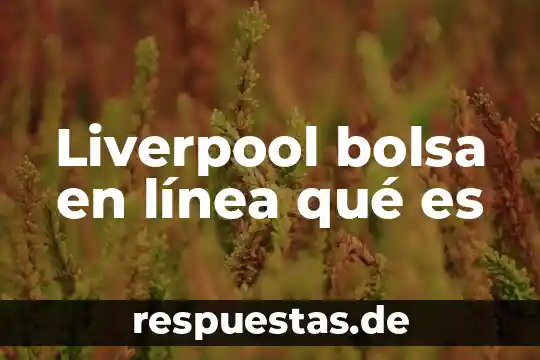 Qué es invertir en la bolsa de valores 6 Liverpool bolsa en línea qué es