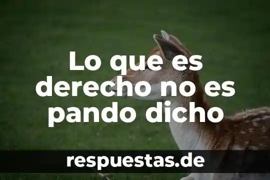 Lo que es derecho no es pando dicho
