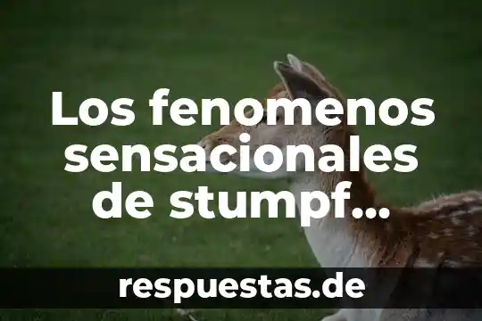 Que es presidencialismo significado y su fenomenos politicos 3 Los fenomenos sensacionales de stumpf psicologia que es