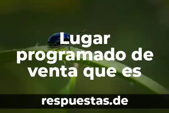 Que es el significado de lugar 4 Lugar programado de venta que es