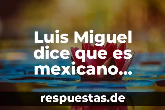 Que es ser periodista segun luis spota 8 Luis Miguel dice que es mexicano conferencia de prensa