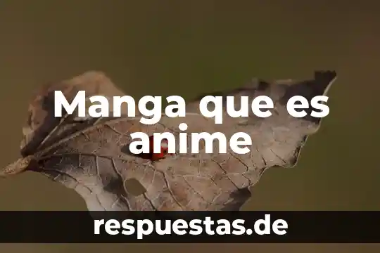 Que es mejor el manga o el anime de Inuyasha 4 Manga que es anime