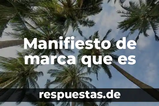 Manifiesto de marca que es