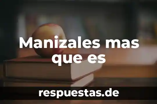 Que es socio emocional afectivo en ser humano 4 Manizales mas que es