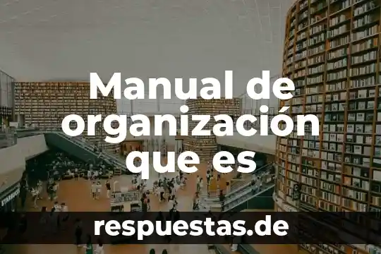 Que es el registro manual 4 Manual de organización que es
