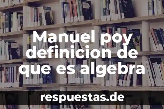 Manuel poy definicion de que es algebra