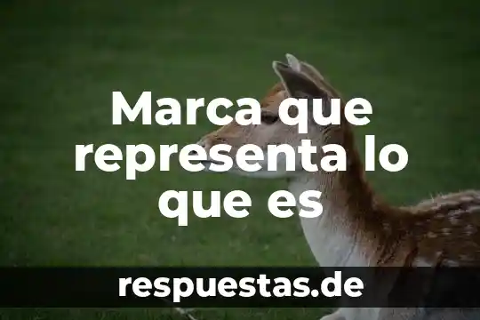 Marca que representa lo que es