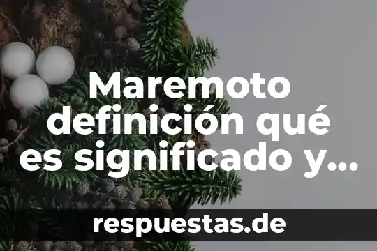 Que es repercutido definicion 8 Maremoto definición qué es significado y concepto