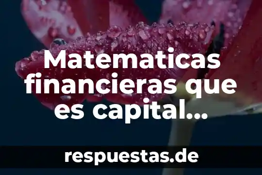 Condiciones financieras de credito infonavit que es 8 Matematicas financieras que es capital segun