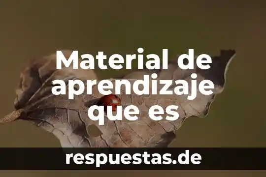 Que es pedido de material 8 Material de aprendizaje que es