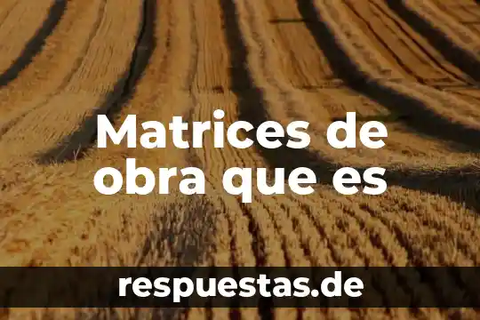 Qué es significado obra 8 Matrices de obra que es