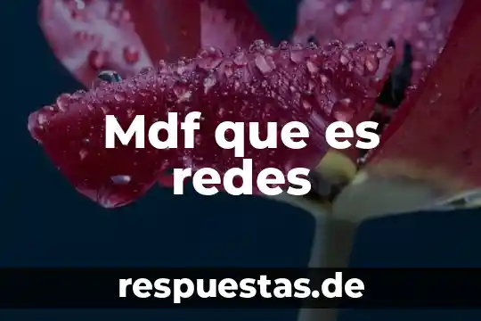 Qué es la administración de redes concepto 5 Mdf que es redes