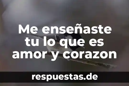 Que es ser puro de corazón 4 Me enseñaste tu lo que es amor y corazon