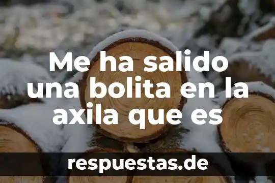 En si que es un paradigma-filosofia 8 Me ha salido una bolita en la axila que es