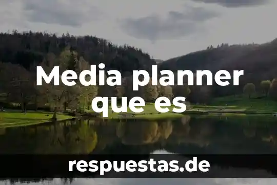 Qué es una media ponderada 6 Media planner que es