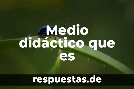 Medio didáctico que es