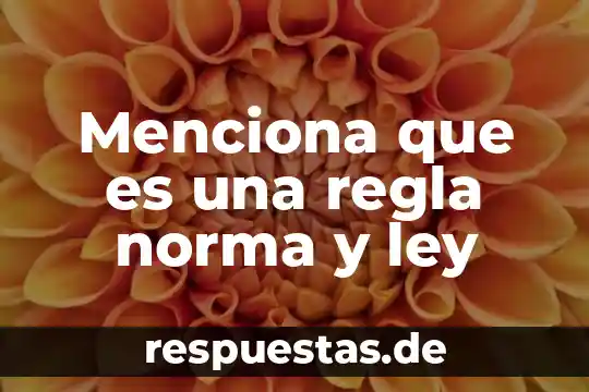 Que es una regla de correspondencia en matemática 7 Menciona que es una regla norma y ley
