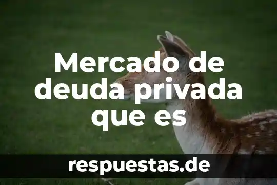Qué es deuda pública interes 7 Mercado de deuda privada que es