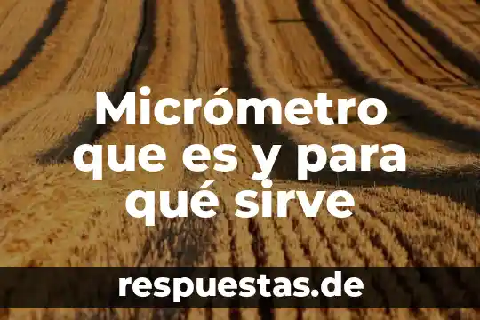 Que es un cuadro latino 4 Micrómetro que es y para qué sirve