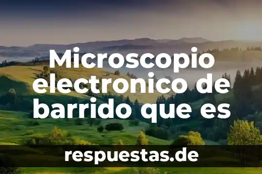 Barrido mecanico que es 3 Microscopio electronico de barrido que es
