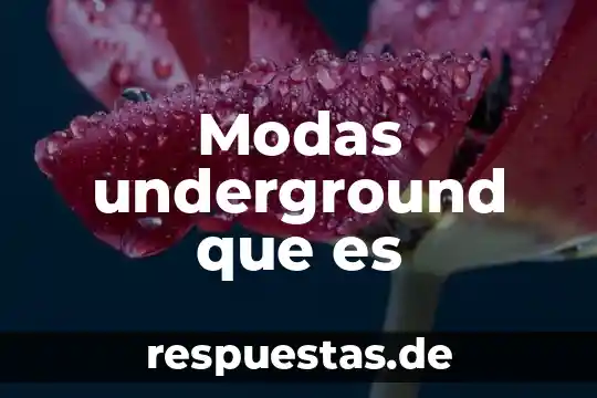Por que es malo el maltrato animal 7 Modas underground que es