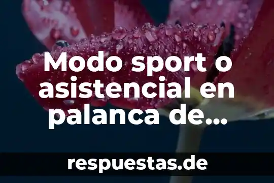 Qué es la caja de cambios powershift 8 Modo sport o asistencial en palanca de cambios que es