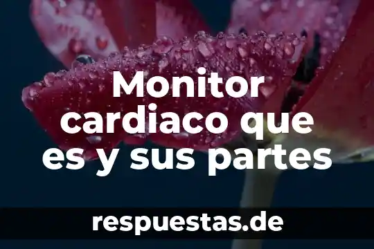 Qué es un ataque cardiaco definición 5 Monitor cardiaco que es y sus partes