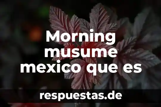 Que es compra payu fonyou mexico 7 Morning musume mexico que es
