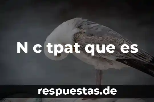 En música que es c 5 N c tpat que es