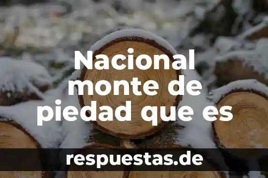 Qué es el escudo nacional de la República Dominicana 4 Nacional monte de piedad que es