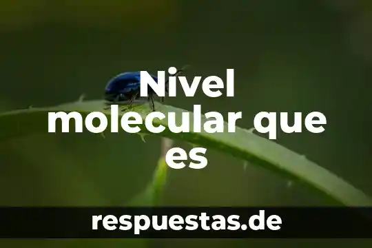 Que es la estructura molecular de la materia 6 Nivel molecular que es