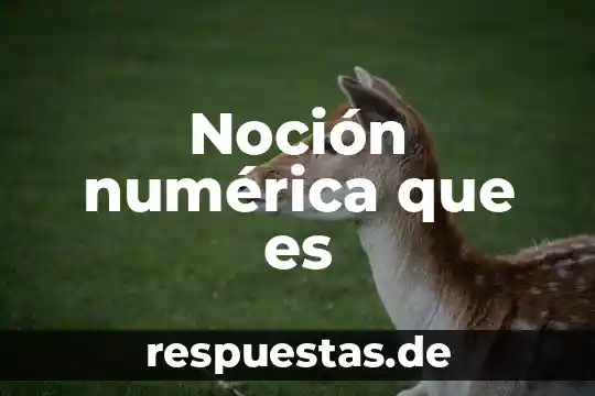 Qué es una noción de teoría 5 Noción numérica que es
