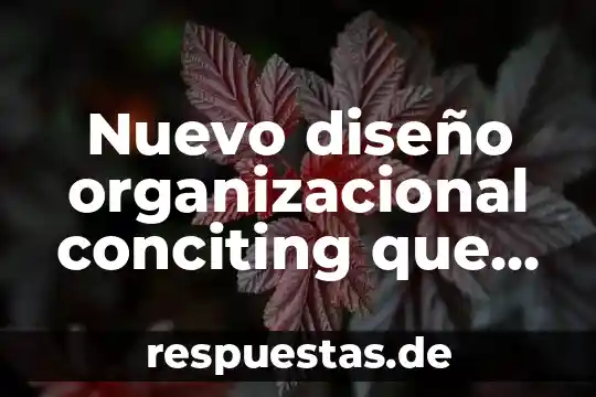 Que es la figura en el diseño 4 Nuevo diseño organizacional conciting que es