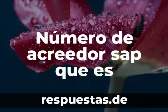 Número de serie del CSD del emisor que es 5 Número de acreedor sap que es