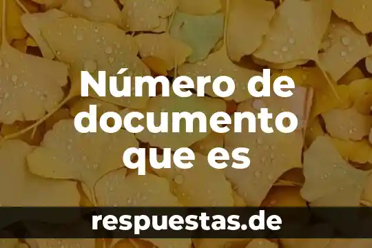 Que es el apéndice en un documento 4 Número de documento que es