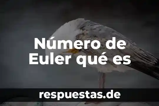 Que es numero de referencia nrc 5 Número de Euler qué es