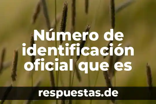 Qué es el número de identificación facturas 5 Número de identificación oficial que es