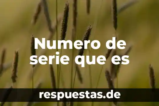 Qué es un número y sus características 5 Numero de serie que es