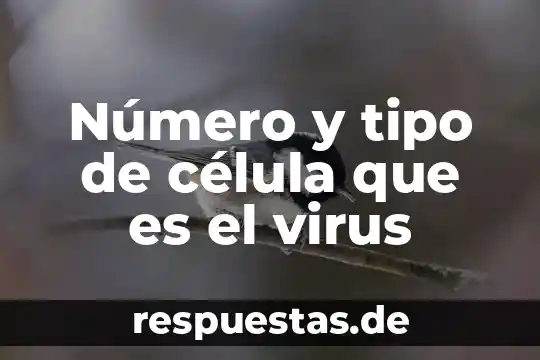 Qué es el número de oxidación y sus usos 4 Número y tipo de célula que es el virus