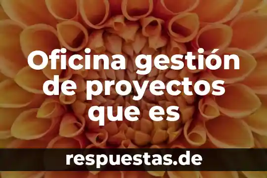 Que es la evaluacion de proyectos educativos 8 Oficina gestión de proyectos que es